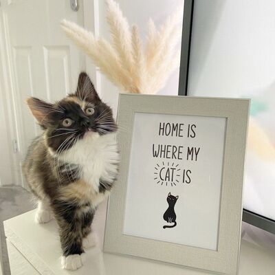 Home Is Where My Cat Is Animal Simple Print A2 High Gloss