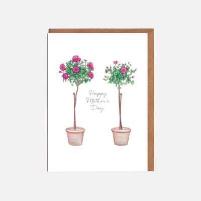 Carte de fête des mères deux rosiers - 'Happy Mother's Day'