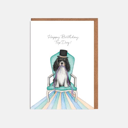 Spaniel Birthday Card - 'Happy Birthday Top Dog!'