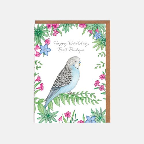 Budgie Birthday Card - 'Happy Birthday, Best Budgie!'