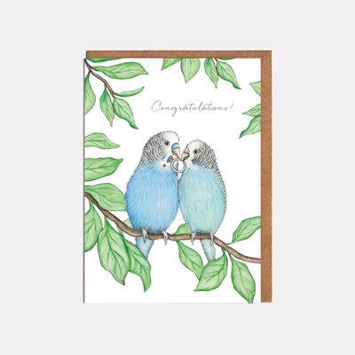 Wellensittich-Paar-Hochzeitskarte – 'Herzlichen Glückwunsch'
