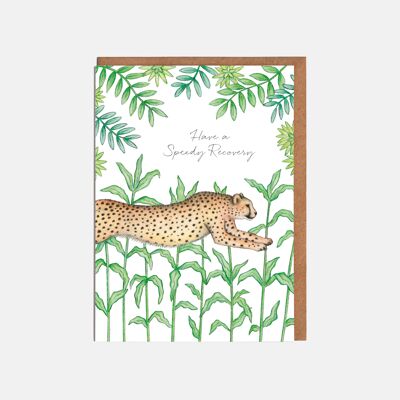 Cheetah Get Well Card - "Buona guarigione"