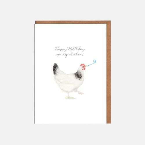 Chicken Birthday Card - 'Happy Birthday spring chicken!'