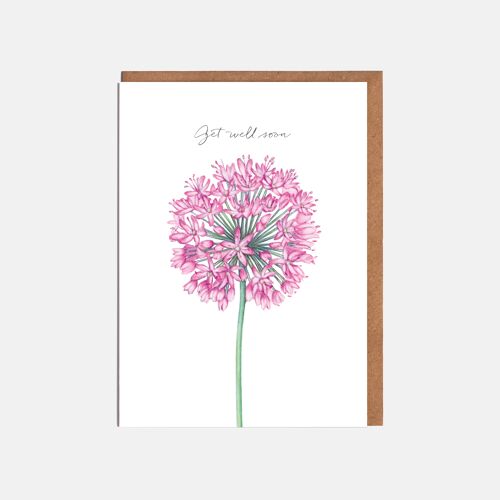 Allium Card - 'Get Well Soon'