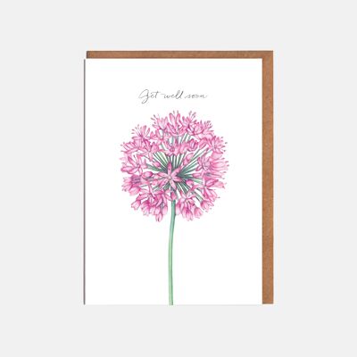 Allium Card - 'Get Well Soon'