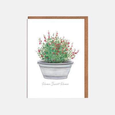 Tarjeta Salvia New Home - 'Hogar, dulce hogar'