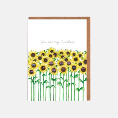 Sunflower Field Valentines Day Card - 'You are my Sunshine'