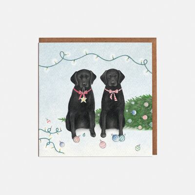Tarjeta de Navidad de Labrador - En blanco