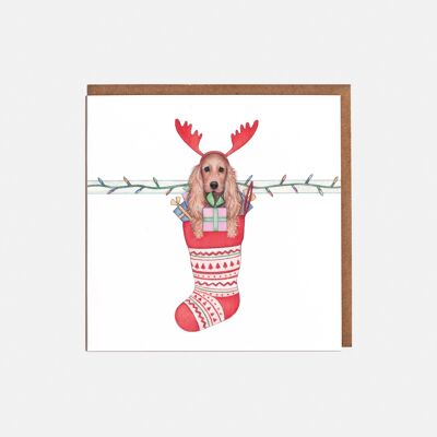 Cartolina di Natale con spaniel e calza - vuota