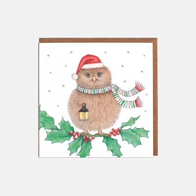 Owl & Holly Christmas Card - Blank