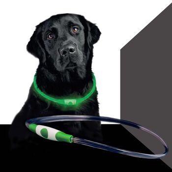 Dog Band USB - Vert 3