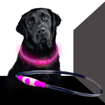 Dog Band USB - Rose 3