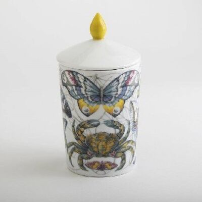 PRIMA LUCE Luxe Candle 380gr (13.4oz): sunny pine forest and orange. Soy candle poured in porcelain