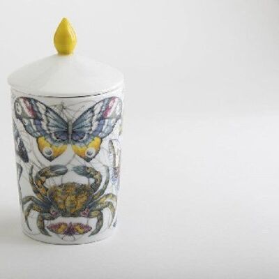 PRIMA LUCE Luxe Candle 380gr (13.4oz): sunny pine forest and orange. Soy candle poured in porcelain