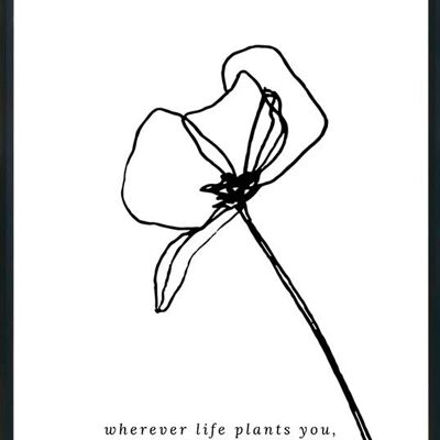 Wherever life plants you-poster- 30x40