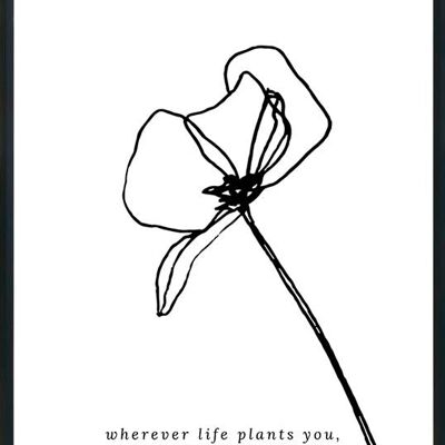 Wherever life plants you-poster- 50x70