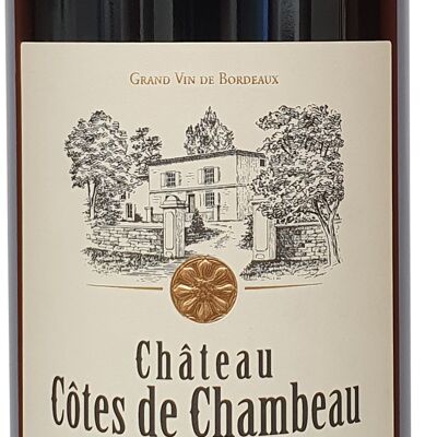 Château Côtes de Chambeau AOP Montagne Saint-Émillion red wine 75cl 2017