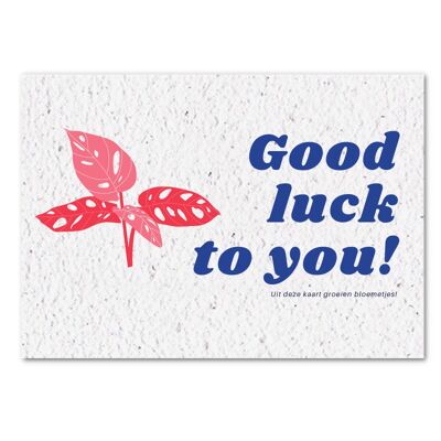 Growth card - Good luck to you