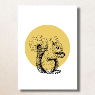 Eekhoorn met gele stip / A6 / Card
