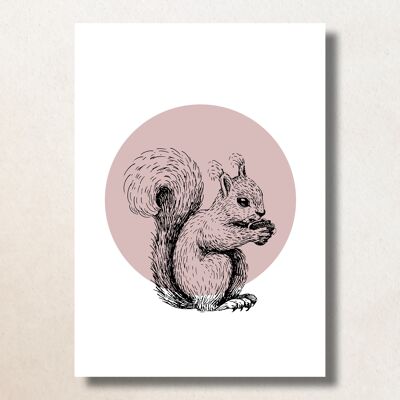 Eekhoorn met roze stip / A6 / Card