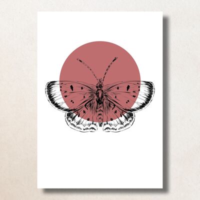 Vlinder, Roze stip / A6 / Card