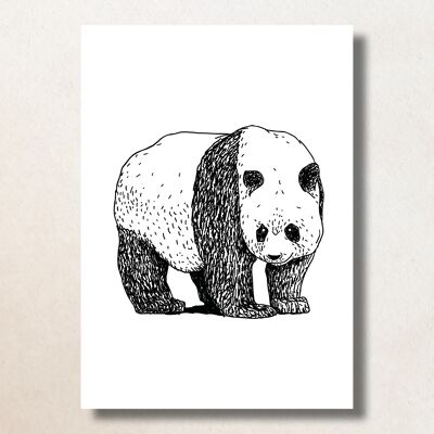Panda / A6 / Card