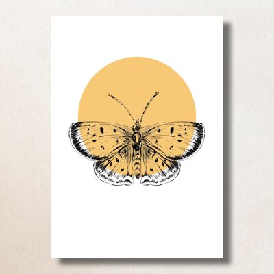 Vlinder, Gele stip / A6 / Card