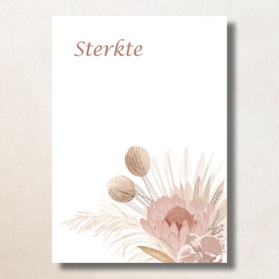 Sterkte / A6 / Card