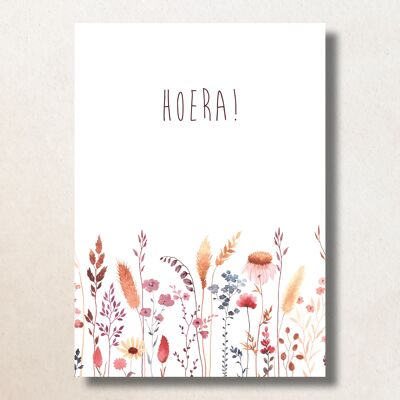 Hoera Bloemenveld / A6 / Card