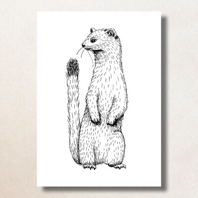 Otter  / A6 / Card