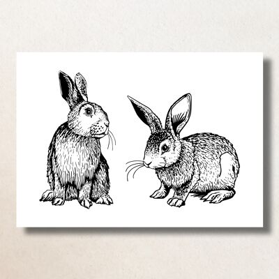 Double rabbit / A6 / Card
