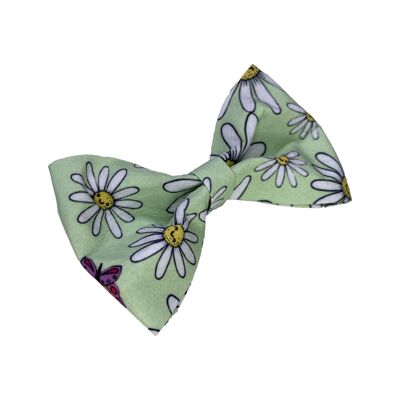 Noeud Papillon Chien - Daisy Days