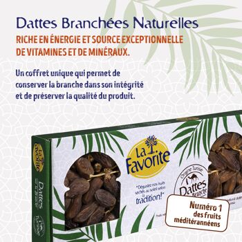 FRUITS SECS / DATTE DEGLET NOUR BRANCHEE 1KG - Tunisie 4