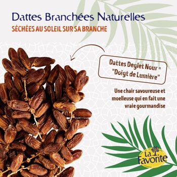 FRUITS SECS / DATTE DEGLET NOUR BRANCHEE 1KG - Tunisie 5