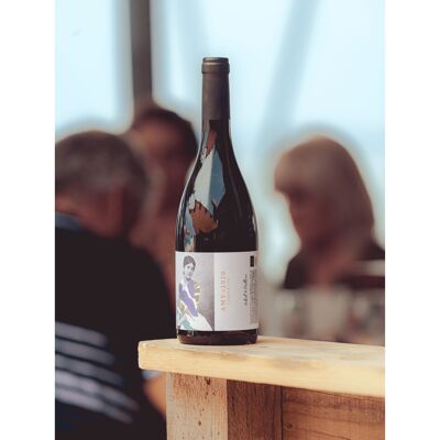 Amy - Garnacha Syrah - 75 cl