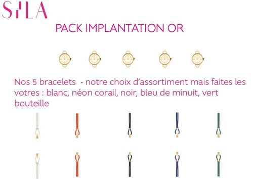 Montres à bracelets interchangeables  - pack implantation pop or