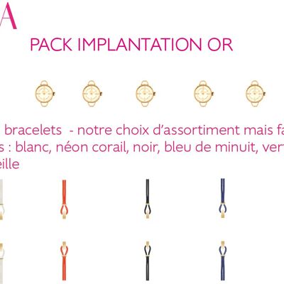 Montres à bracelets interchangeables  - pack implantation pop or