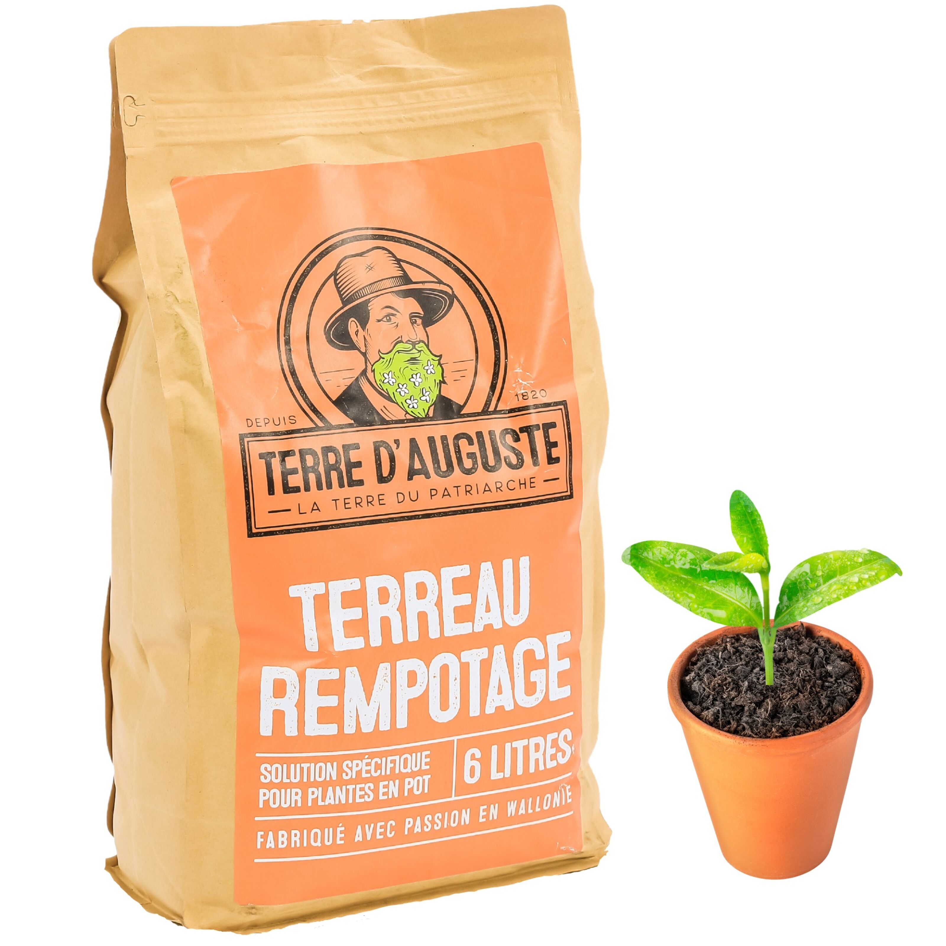 Buy wholesale Terre D'Auguste - Potting Soil 6L with Resealable Zipper -  Specific Solution for Potted Plants - All Varieties of Indoor Plants & Palm  Trees - Green & Flowering Plants