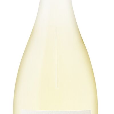Amour Blanc – Côtes de Provence – BIO – 2023