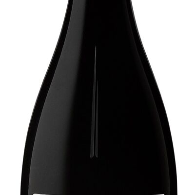 Amour  - Côtes de Provence - rouge - BIO - 2020