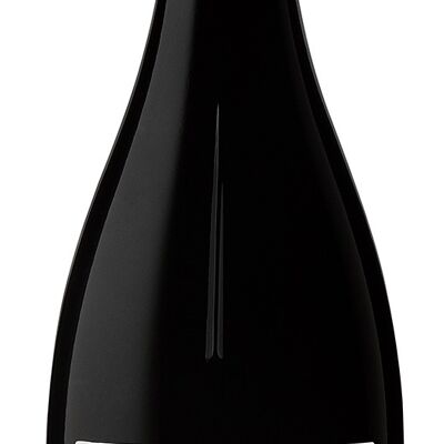 Amour Rouge - Côtes de Provence - ORGÁNICO - 2020