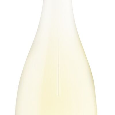 Aventure Blanc - IGP Var - ORGANIC - 2022