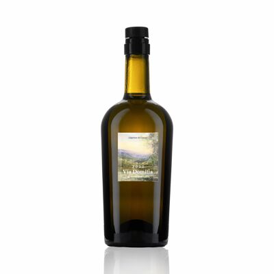 Via Domitia 2023 - Premium Extra Virgin Olive Oil 0.75L