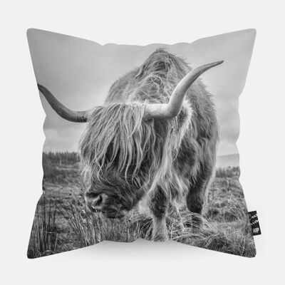 Cojín HIP ORGNL® Highlander Grass - 45 x 45 cm