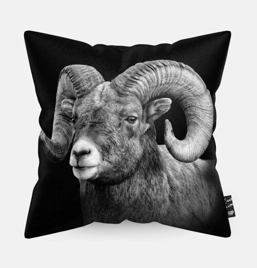 HIP ORGNL® Aries Cushion - 45 x 45 cm