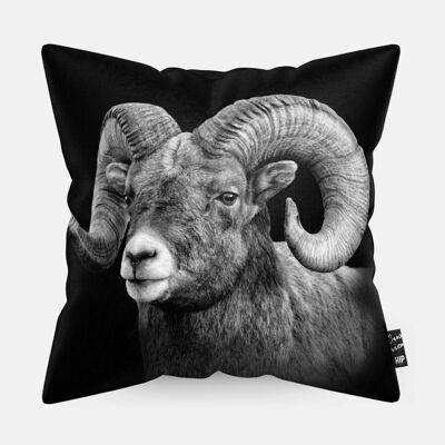 HIP ORGNL® Aries Cushion - 45 x 45 cm