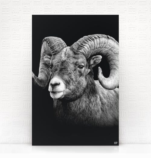 HIP ORGNL® Aries - 40 x 60 cm