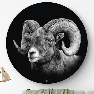 HIP ORGNL® Aries Redondo - Ø 80 cm