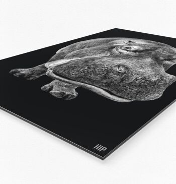 HIP ORGNL® Hippopotame - 80 x 120 cm 2