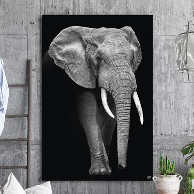 Éléphant HIP ORGNL® - 100 x 150 cm